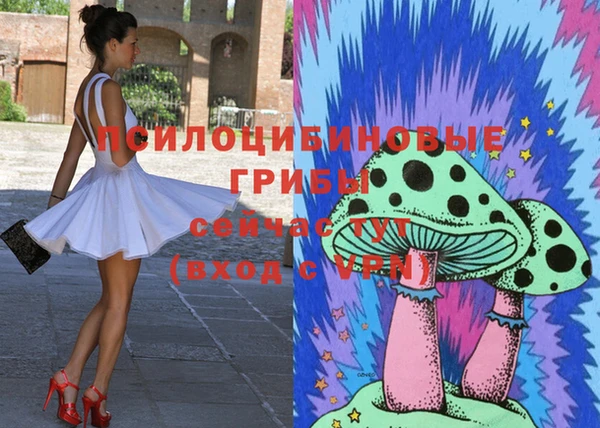 гашик Баксан