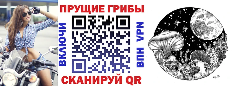 Галлюциногенные грибы мухоморы  закладки  Богданович 