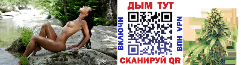 МАРИХУАНА планчик  Богданович 